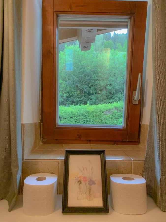 Landhaus Gappmaier ツェル アム ゼー エクステリア 写真