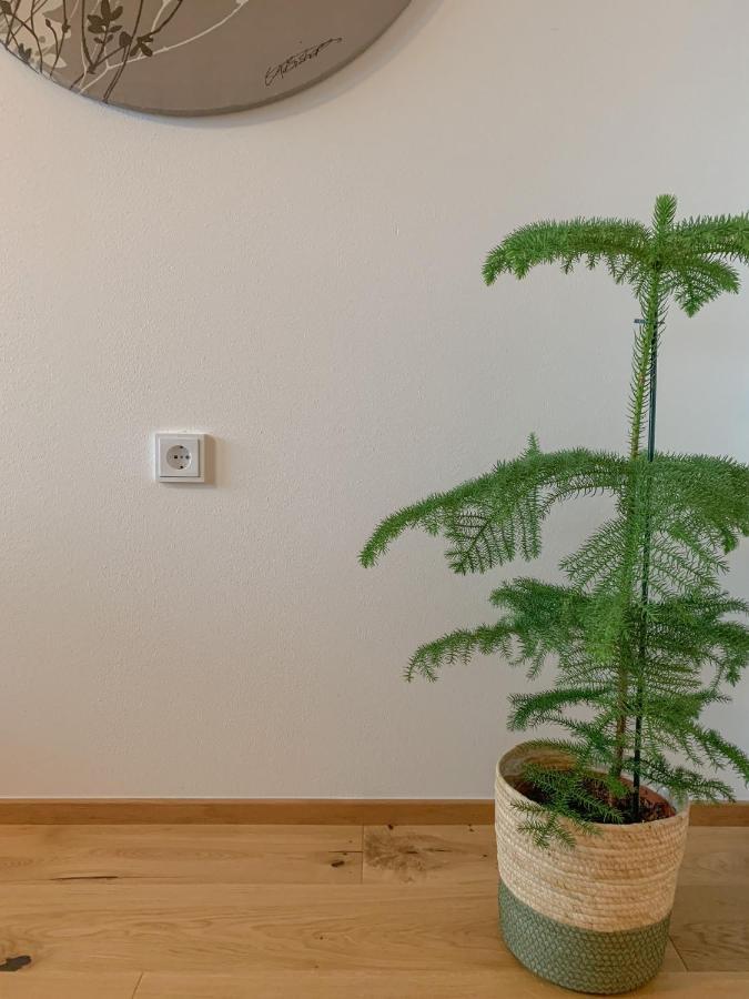 Landhaus Gappmaier ツェル アム ゼー エクステリア 写真